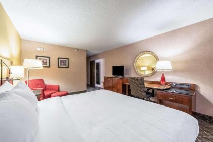 Quality Inn & Suites - image 3