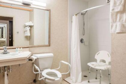 Quality Inn & Suites - image 5