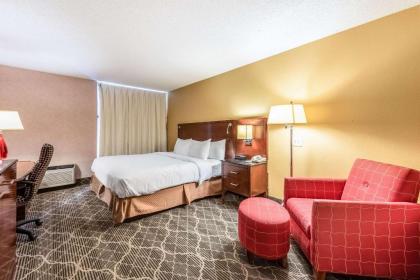 Quality Inn & Suites - image 8