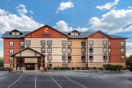 Comfort Inn & Suites Branson Meadows - image 2