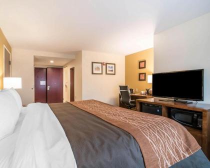 Comfort Inn & Suites Brattleboro I-91 - image 7