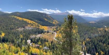 The Lodge at Breckenridge - image 3