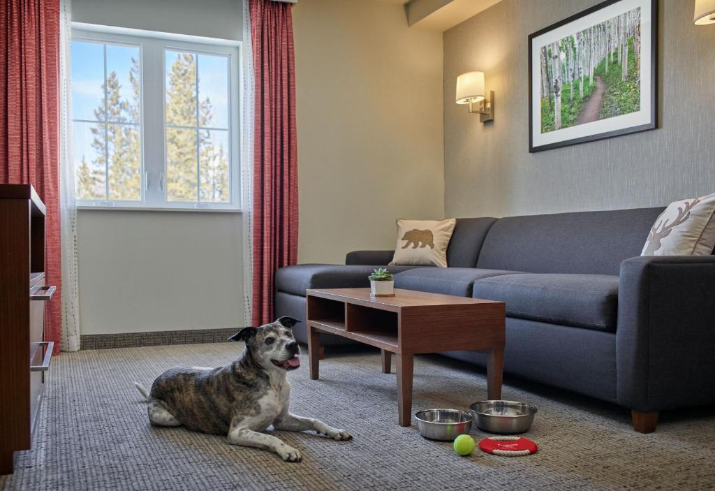 Residence Inn by Marriott Breckenridge - image 3