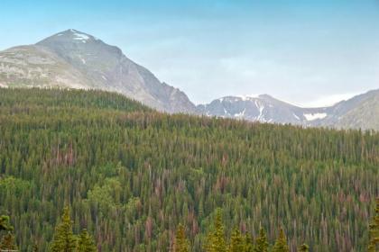 Hideaway Cabin - image 12