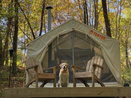 tentrr Signature   Holmestead Woods Brewster 