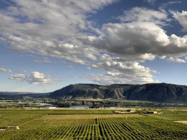 Lone Point Cellars - main image