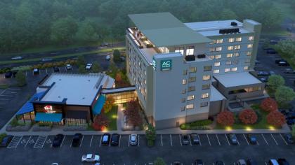AC Hotel by Marriott Bridgewater - image 3