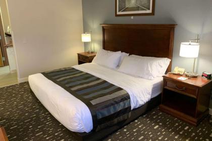 Wingate by Wyndham Brighton - image 14