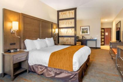 Comfort Inn & Suites Brighton Denver NE Medical Center - image 16