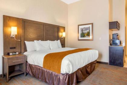 Comfort Inn & Suites Brighton Denver NE Medical Center - image 21