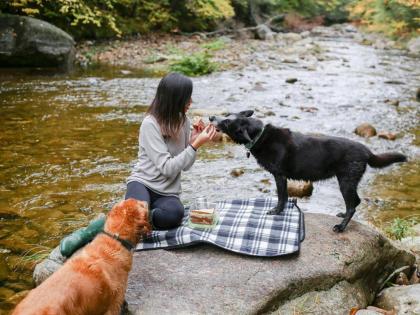 Tentrr - Whispering Pines At The River - image 5