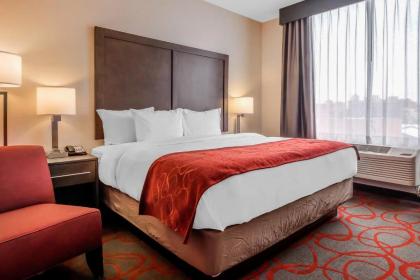 Comfort Inn & Suites near Stadium - image 14