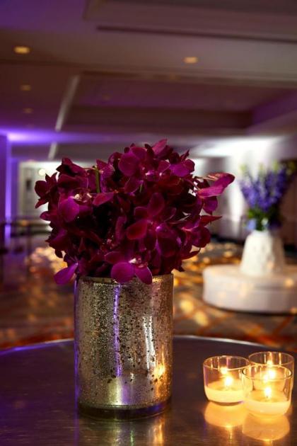 New York Marriott at the Brooklyn Bridge - image 19
