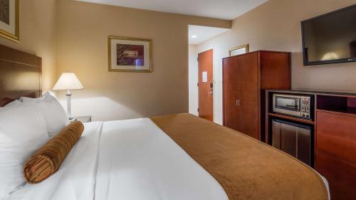 Best Western PLUS Arena Hotel - image 2