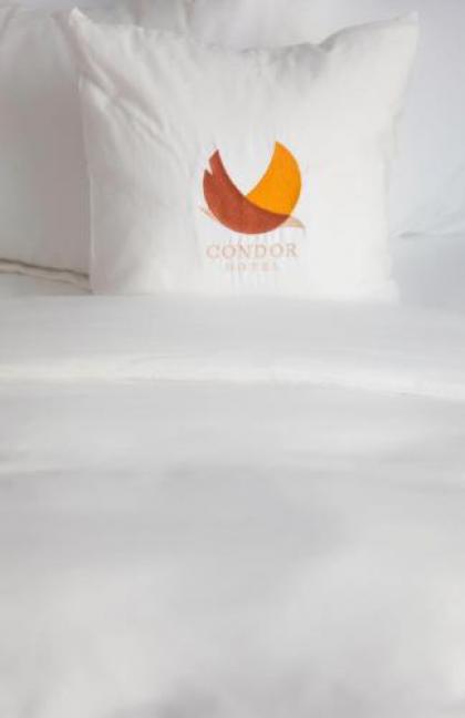Condor Hotel Brooklyn - image 3
