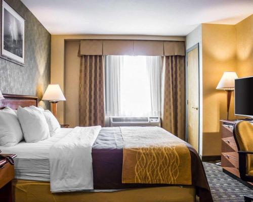 Comfort Inn Brooklyn - image 4