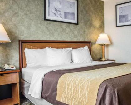 Comfort Inn Brooklyn - image 5