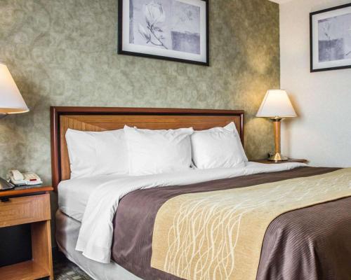 Comfort Inn Brooklyn - image 5