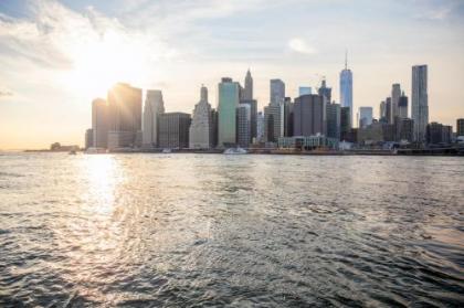 1 Hotel Brooklyn Bridge - image 30