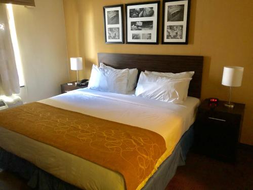 The Vue Inn Brooklyn - image 5