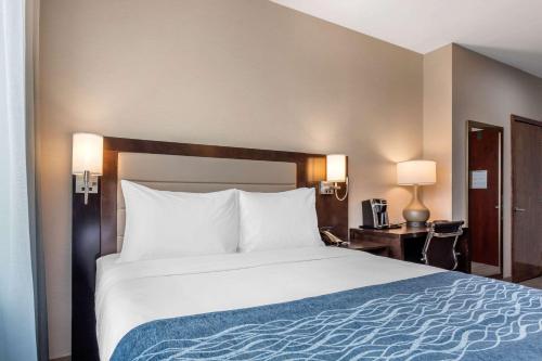 Comfort Inn Prospect Park-Brooklyn - image 2