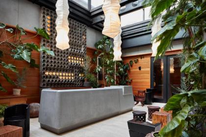Ace Hotel Brooklyn - image 23