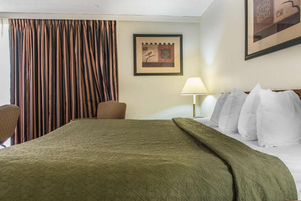 Rodeway Inn - image 4
