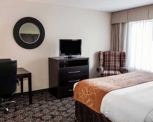 Comfort Suites West Indianapolis - Brownsburg - image 2