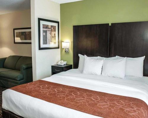 Comfort Suites West Indianapolis - Brownsburg - image 5