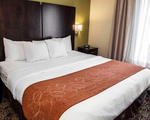 Comfort Suites West Indianapolis - Brownsburg - image 6