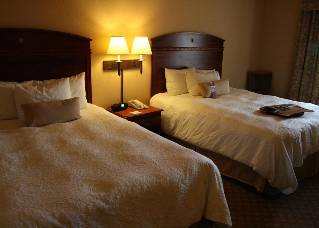 Hampton Inn and Suites-Brownsville - image 3