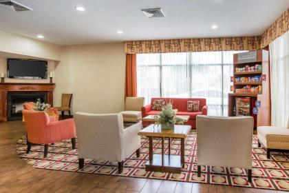 Comfort Suites Golden Isles Gateway - image 13