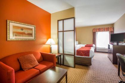 Comfort Suites Golden Isles Gateway - image 6