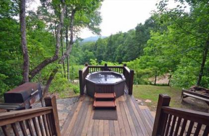 Soaring Eagle Cabin - image 3