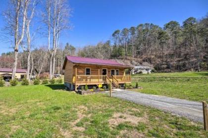 Brand New Smoky Mtn Cabin by Tuckasegee River - image 3