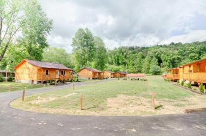 Newly Built Smoky Mtn Cabin Near Bryson City! - image 2