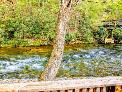 Deep Creek Lodge  - image 11