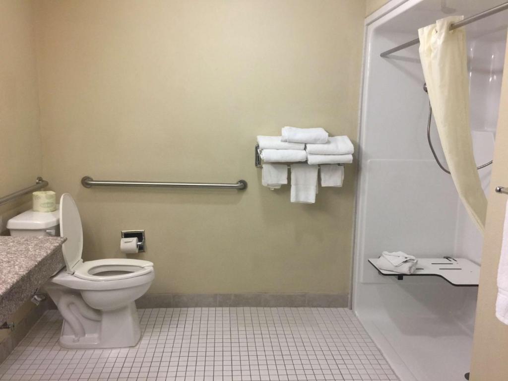 Best Western Plus Burleson Inn & Suites - image 3