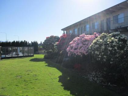 Cocusa Motel - image 11