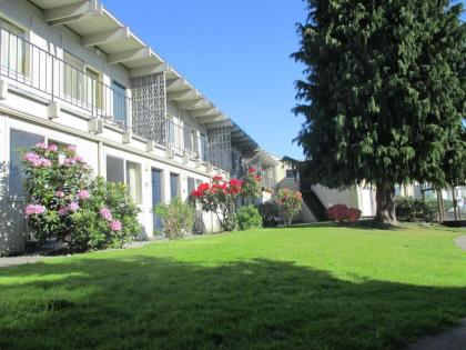 Cocusa Motel - image 13