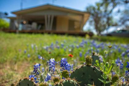 Burnet Beauty Burnet