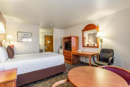 Americas Best Value Inn Burns - image 4