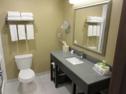 Holiday Inn Express & Suites Butler an IHG Hotel - image 4