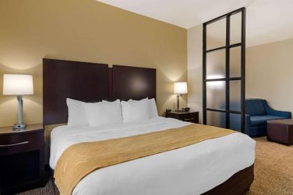 Comfort Suites Byron Warner Robins - image 8