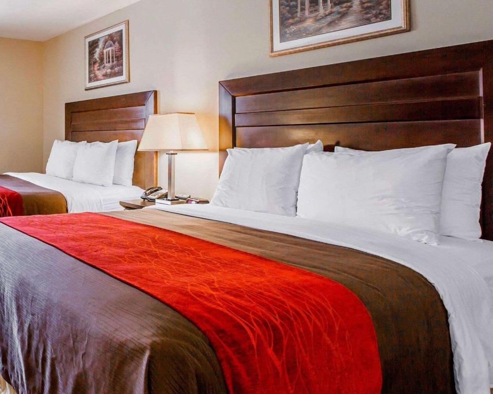 Comfort Inn Monterey Park - Los Angeles - image 3