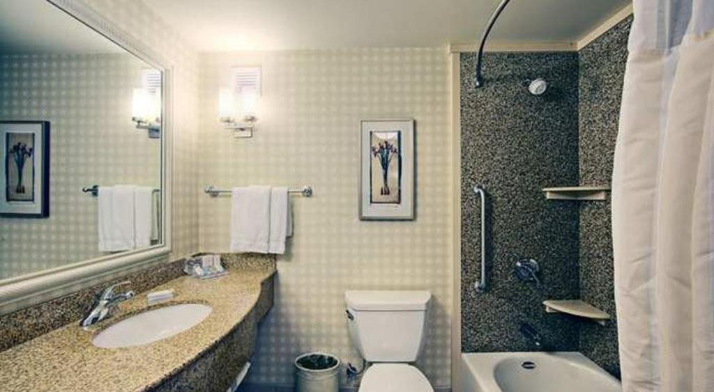 Hilton Garden Inn Palmdale - image 5