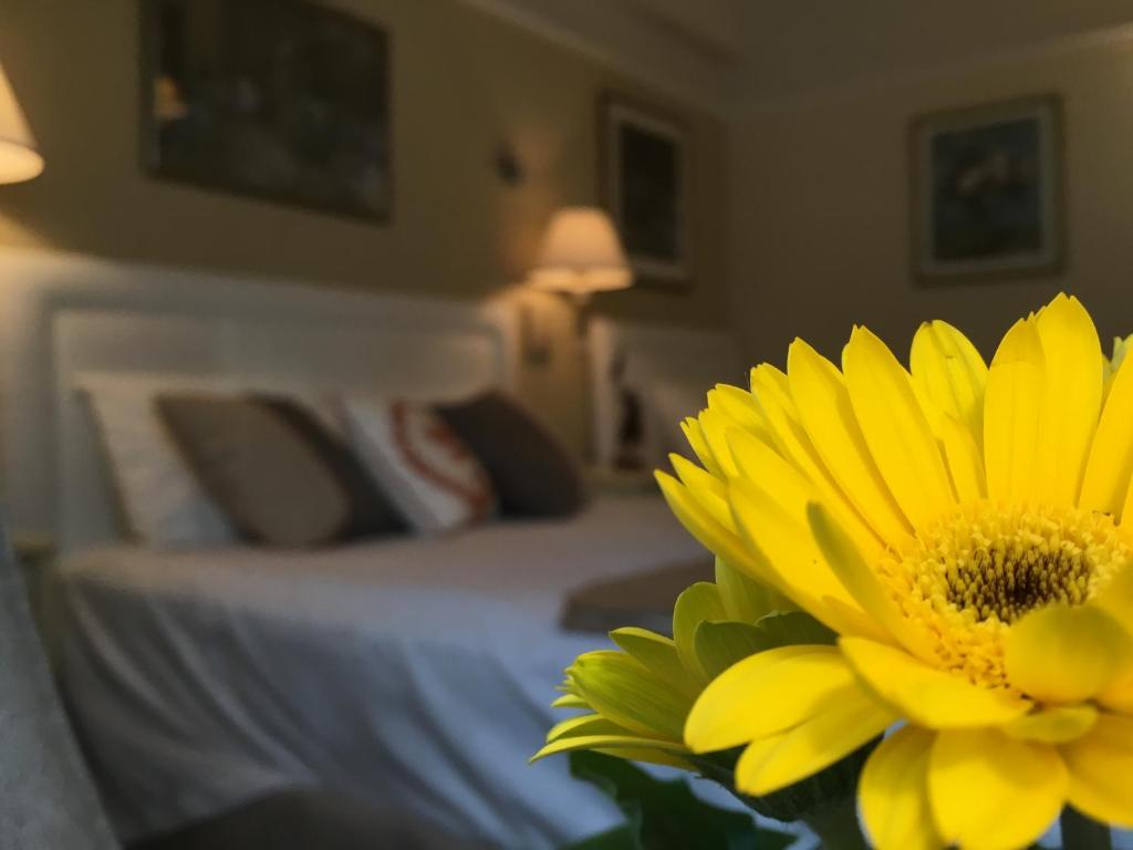 Cornell Hotel de France - main image