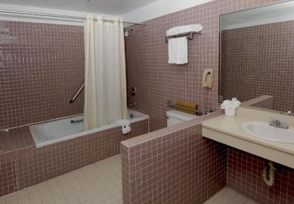 Metro Plaza Hotel - image 4
