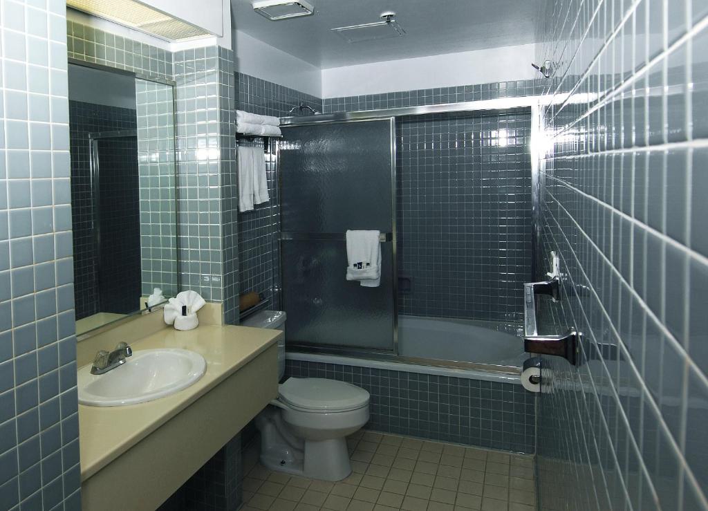 Metro Plaza Hotel - image 5