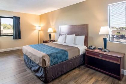 Econo Lodge Inn & Suites Yuba City - image 3